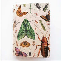 Painted Insect Notebook - unlined | Tumbleweed