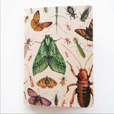Painted Insect Notebook - unlined | Tumbleweed