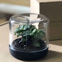 Sanctuary Recycled Mini Terrarium | Botanica Boutique