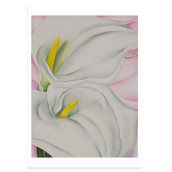 Georgia O’Keeffe Two Calla Lilies on Pink - Small Boxed Cards | Pomegranate