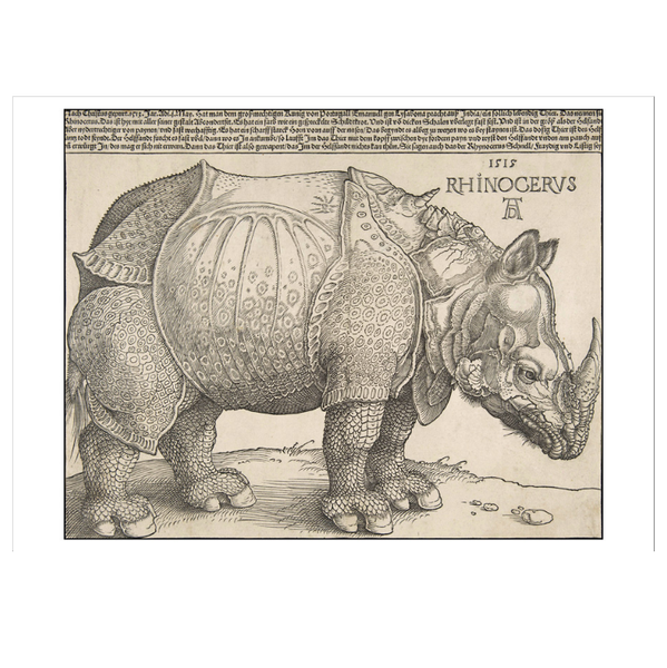 The Rhinoceros Postcard - Albrecht Dürer | Pomegranate