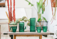 Doiy Saguaro Cactus Green Glass Carafe with Stacking Cactus Glasses