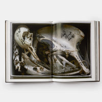 Annie Leibovitz: Portraits 2005-16 | Phaidon