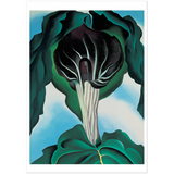 Georgia O'Keeffe Jack-in-the-Pulpit—No. 3 Notecard