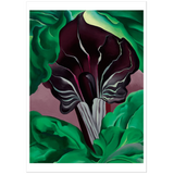 Georgia O'Keeffe Jack-in-Pulpit—No. 2 Notecard