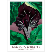 Pomegranate Georgia O'Keeffe Jack-In-The-Pulpit Boxed Notecard Gift Box