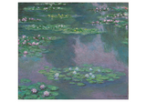 Pomegranate Monet Water Lilies Notecard Folio Dusk Card